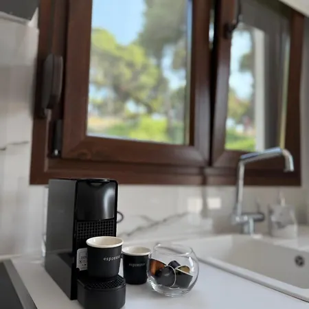 Apartamento Stella's Petite Psakoudia