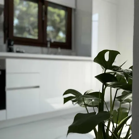 Stella's Petite Apartamento *